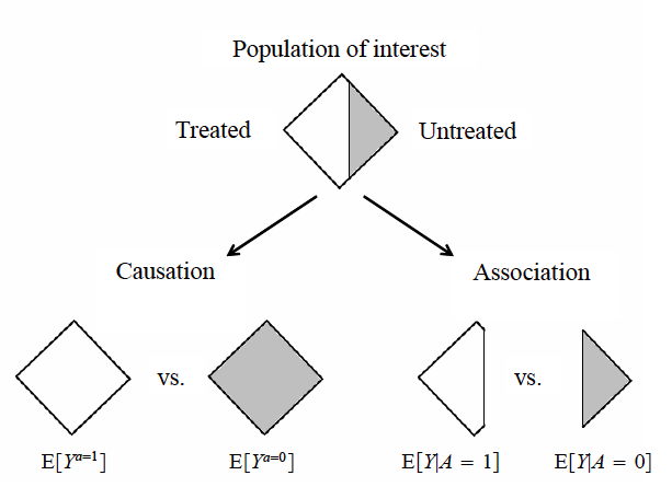 Correlation vs. Causation